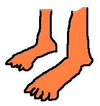 foot
